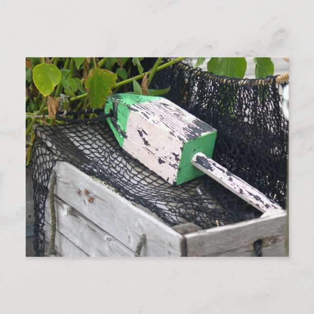 Postal Buoy de la trampa de langosta (Anverso)