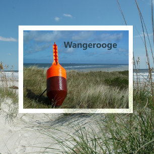 Postal Buoy en dunas de arena, playa, mar del Norte, Wang