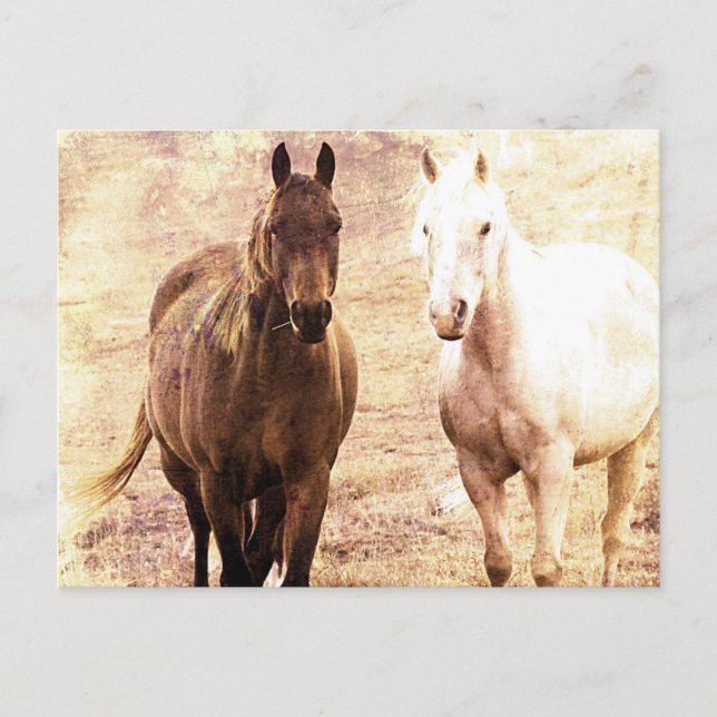 Postal Buques de caballo Sepia (Anverso)