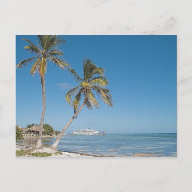 Postal Buques de crucero en Costa Maya (Anverso)