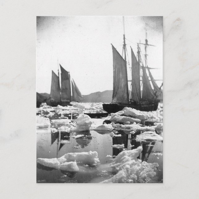 Postal Buques de vela en un campo de hielo - Foto de 1869 (Anverso)