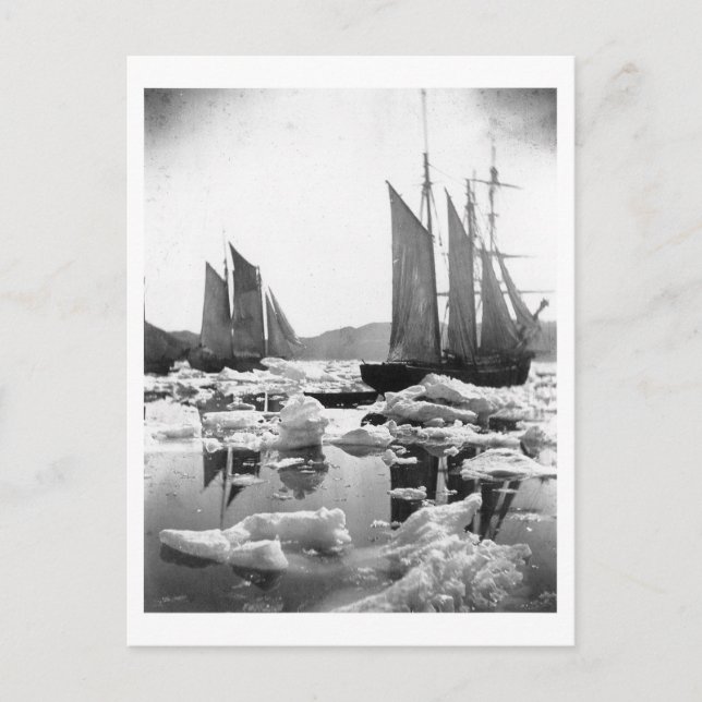 Postal Buques en un campo de hielo - Foto de 1869 (Anverso)