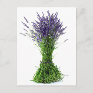 Postal Buquete de lavanda