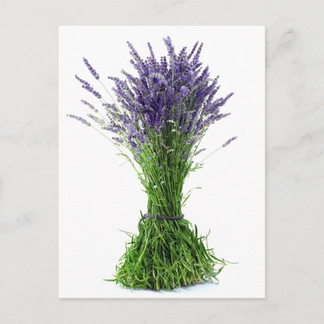 Postal Buquete de lavanda (Anverso)