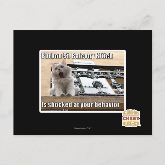 Postal Burbon St. Balcony Kitteh (Anverso)