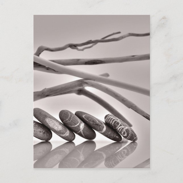 Postal Burbujas y madera de deriva (Anverso)