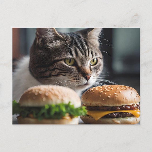 Postal Burger Buddy - arte de gatos (Anverso)