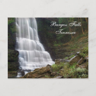 Postal Burgess Falls TN Postcard