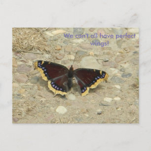Postal Burken Wing Potcard