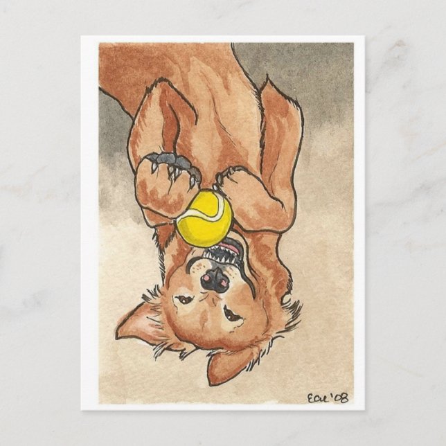 Postal Burla de tenis divertido arte de perro recuperador (Anverso)