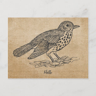 Postal Burlap Rustic Hello Little bird