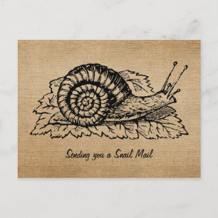 Postal Burlap Vintage Enviando Correo De Caracol