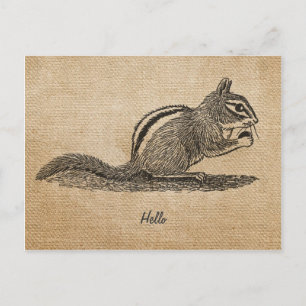 Postal Burlap Vintage hola Chipmunk Postcard