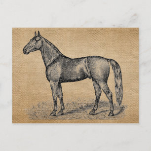 Postal Burlap Vintage Horse