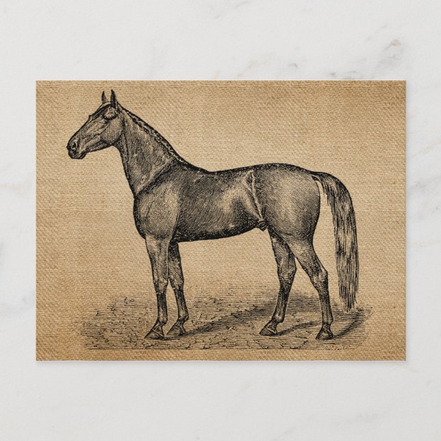 Postal Burlap Vintage Horse (Anverso)