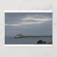 Burlas a la luz de la luna