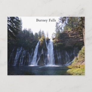 Postal Burney Falls Postcard