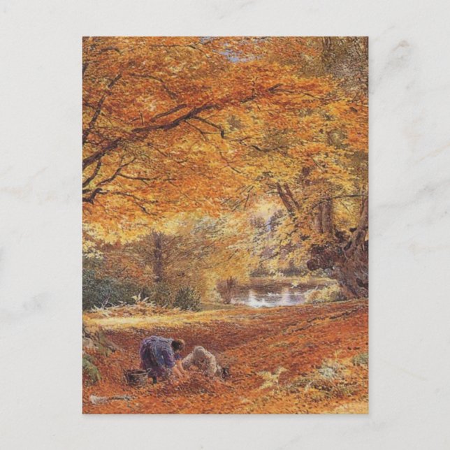 Postal Burnham Beeches (Anverso)