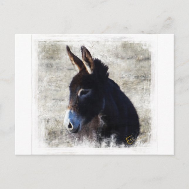 Postal Burro (Anverso)