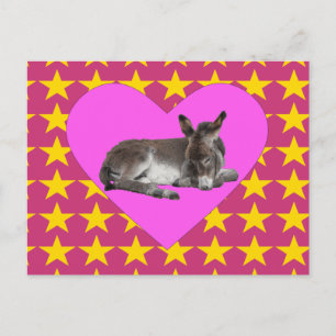 Postal Burro con estrellas y corazones