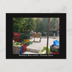 Postal Burro en el mercado de Baza - Granada, España