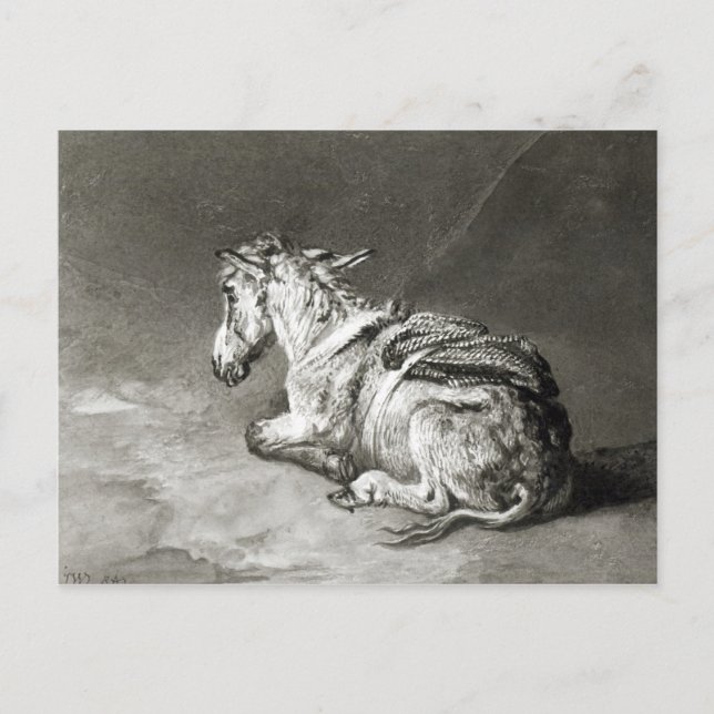 Postal Burro en reposo (Anverso)