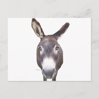 Postal Burro en tu cara