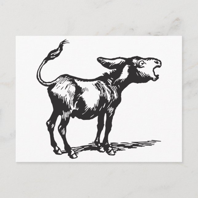 Postal burro repelente (Anverso)