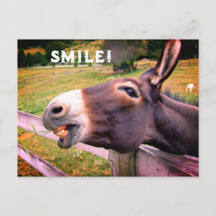Postal Burro Sonriente Texto Personalizado Foto Divertida