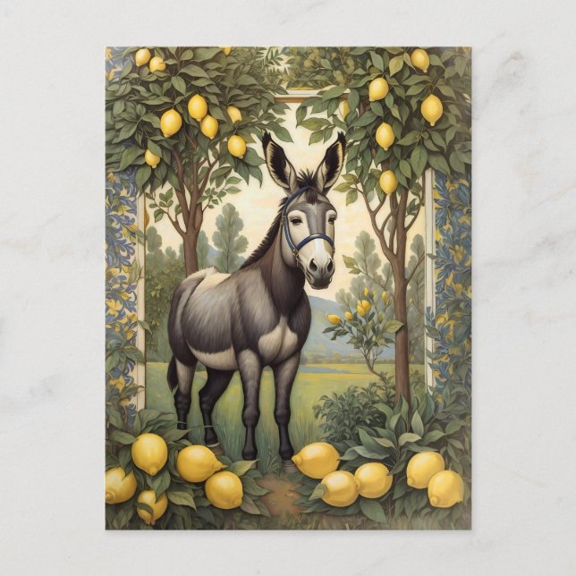 Postal Burro vintage bajo los limoneros (Anverso)