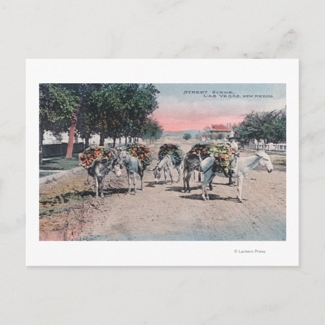 Postal Burros cargados en la calle Las Vegas, NM (Anverso)