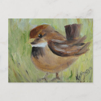 Postal Buscando el césped