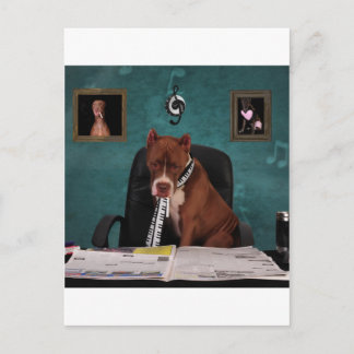 Postal Buscando talento