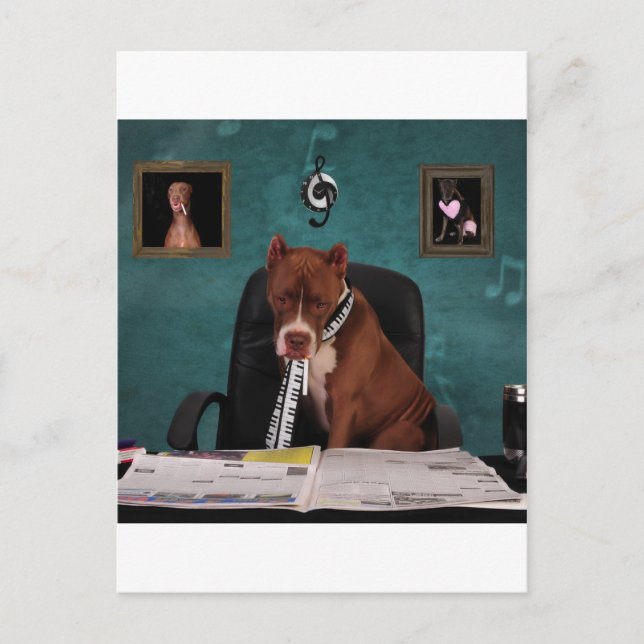 Postal Buscando talento (Anverso)