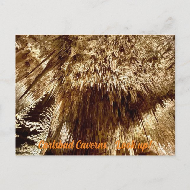 Postal buscar (Anverso)