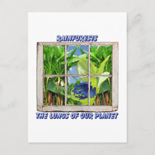 Postal Buscar en cualquier ventana