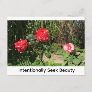 Postal Buscar la belleza intencionalmente
