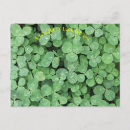 Postal Buscar los cuatro tréboles de hojas