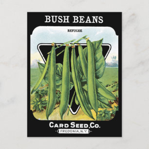 Postal Bush Beans Seans Pack Vegetable Garden Black NY