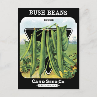 Postal Bush Beans Seans Pack Vegetable Garden Black NY