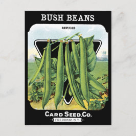 Postal Bush Beans Seans Pack Vegetable Garden Black NY
