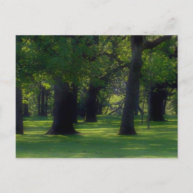 Postal Bush Park Salem Oregon (Anverso)