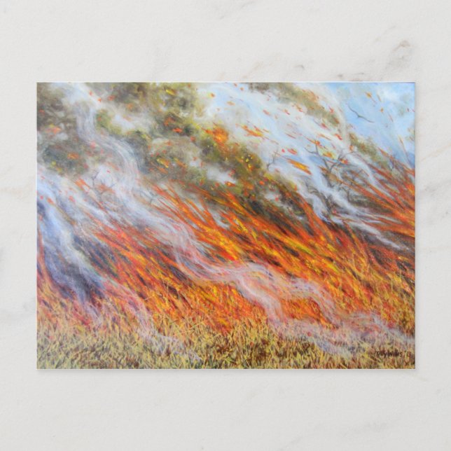 Postal Bushfire Inferno 2014 (Anverso)