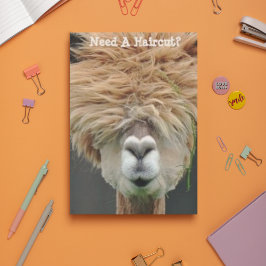 Postal Bushy Hair Brown Llama Hair Stylist