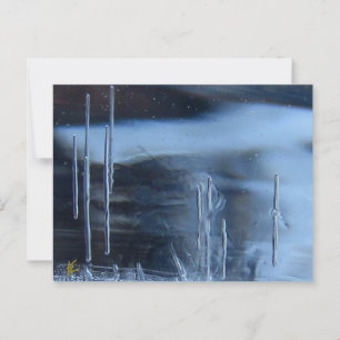 Postal Búsqueda de la visión del desierto, Saguaro de noc