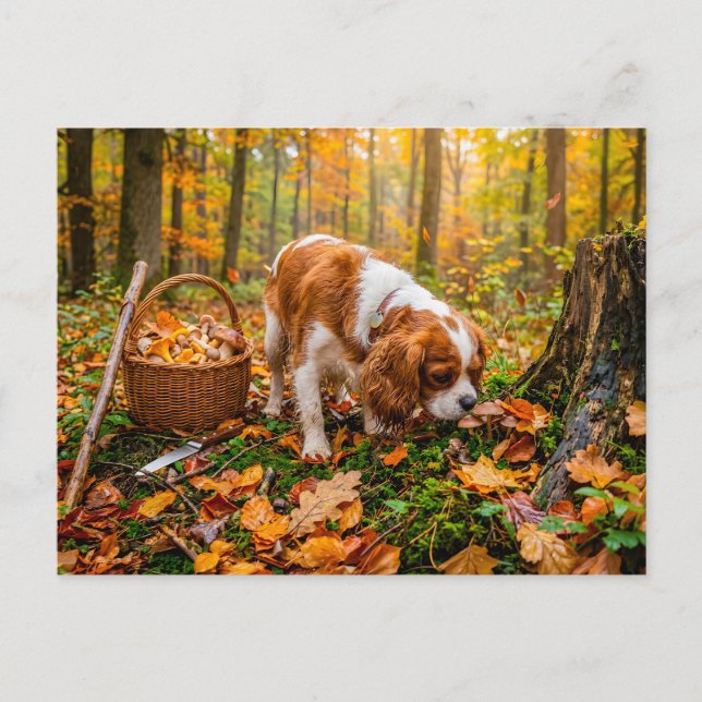Postal Búsqueda de setas de spaniel en bosque otoñal (Anverso)