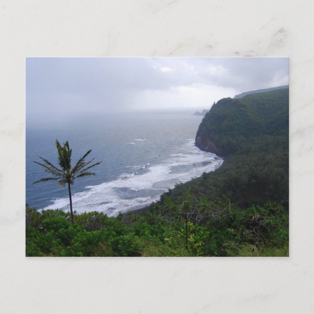 Postal Búsqueda en el valle de Pololu con palmera, Hawaii (Anverso)