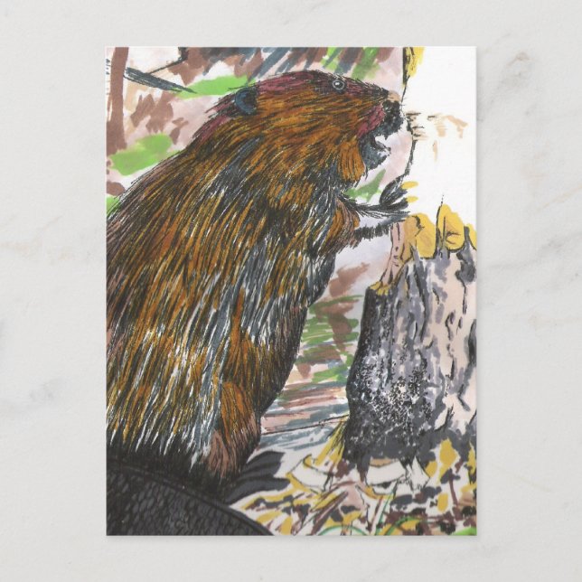 Postal Busy Beaver (Anverso)