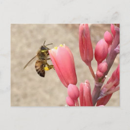 Postal Busy Bee