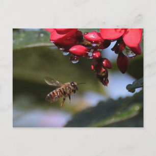 Postal Busy Bee